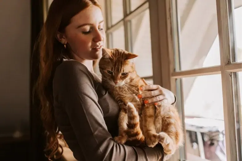 ¿Cómo se puede viajar a Inglaterra con perros o con gatos?