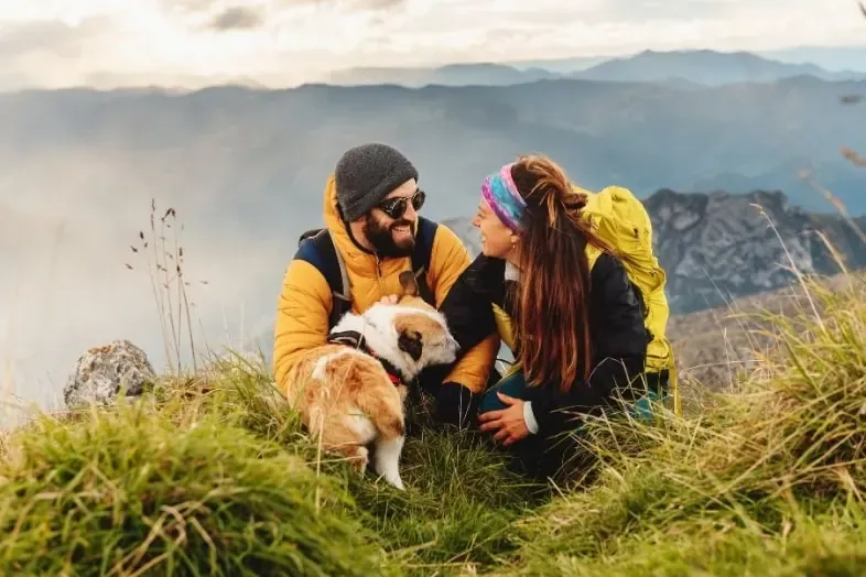 Requisitos para viajar a Reino Unido con mascotas